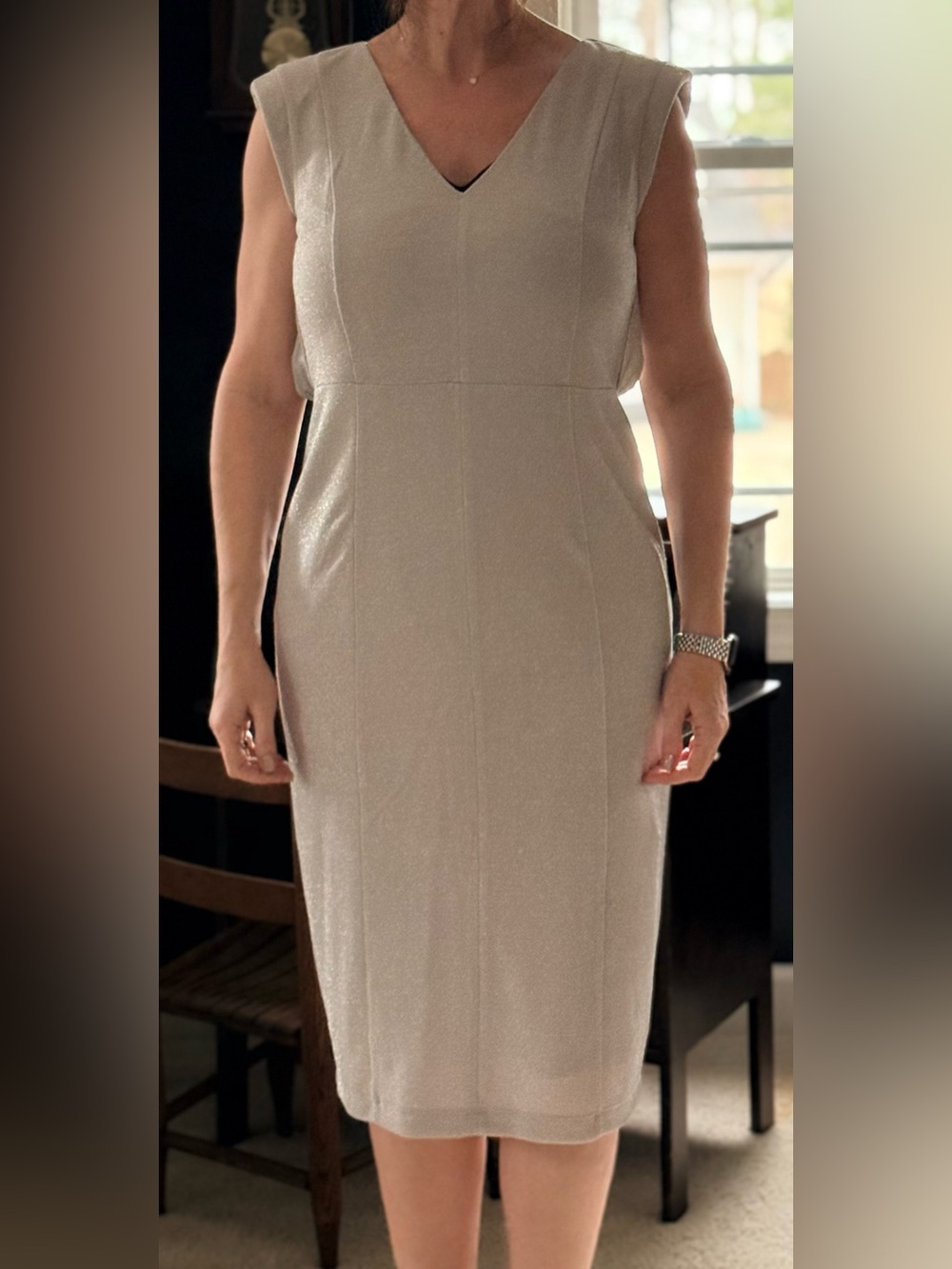 Sleeveless Shimmer Sheath Dress in Silver